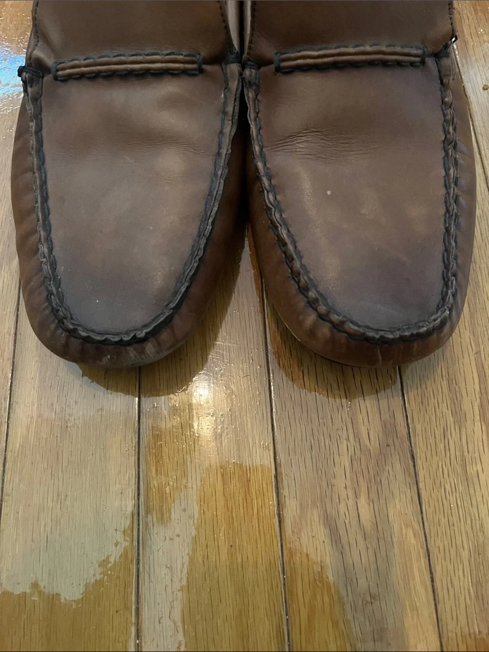 Allen Edmonds classic brown